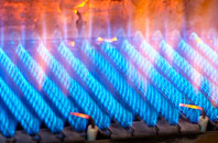 Springside gas fired boilers